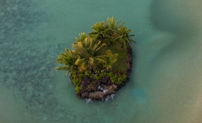 岛上有棕榈树和岩石的航拍照片